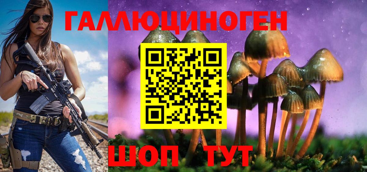 Псилоцибиновые грибы Cubensis Лосино-Петровский