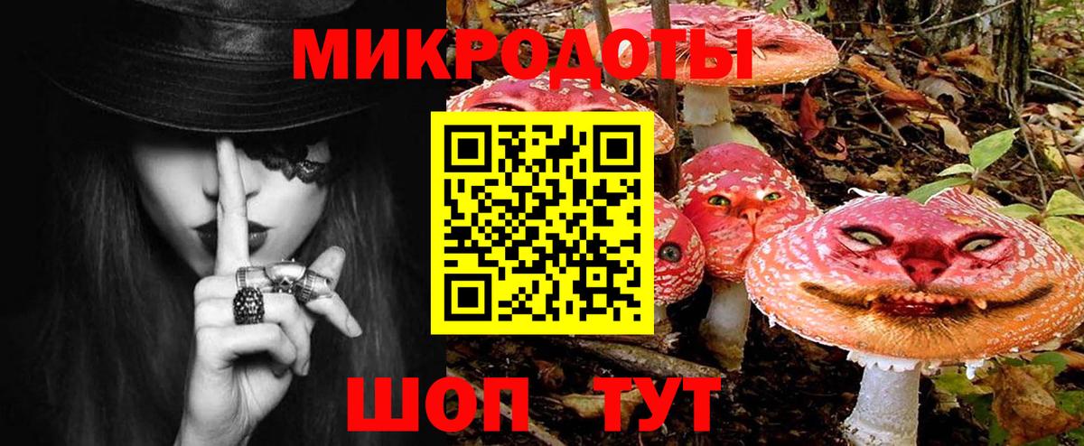 закладка  Лосино-Петровский  Галлюциногенные грибы GOLDEN TEACHER 