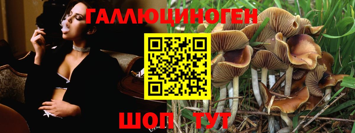Псилоцибиновые грибы прущие грибы  Псилоцибиновые грибы Psilocybine cubensis  купить наркотик  Вход с VPN  Лосино-Петровский 